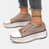 Eveloise - Comfortable Trainers
